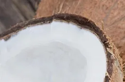 Kokosoel Kokosoel